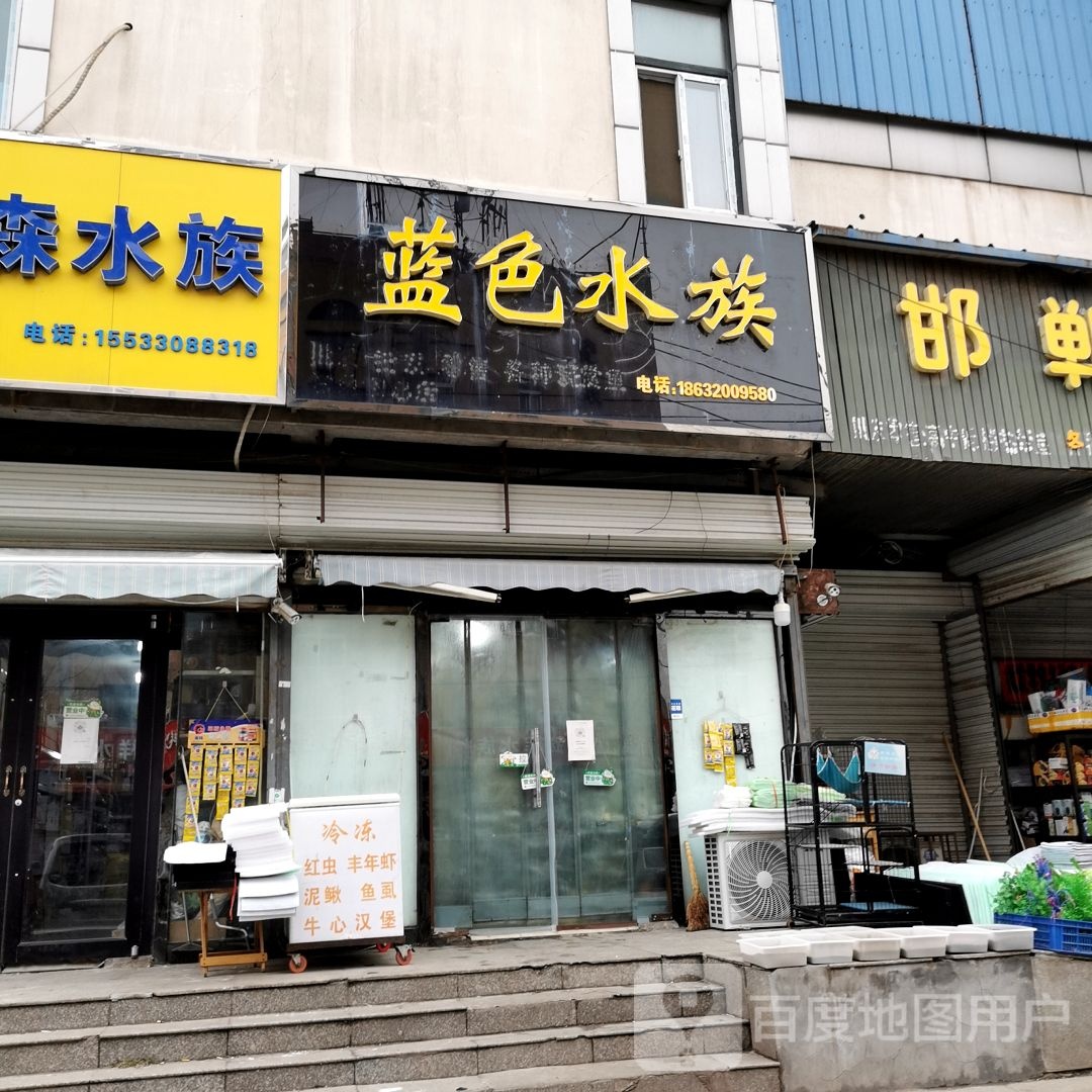 蓝色水族