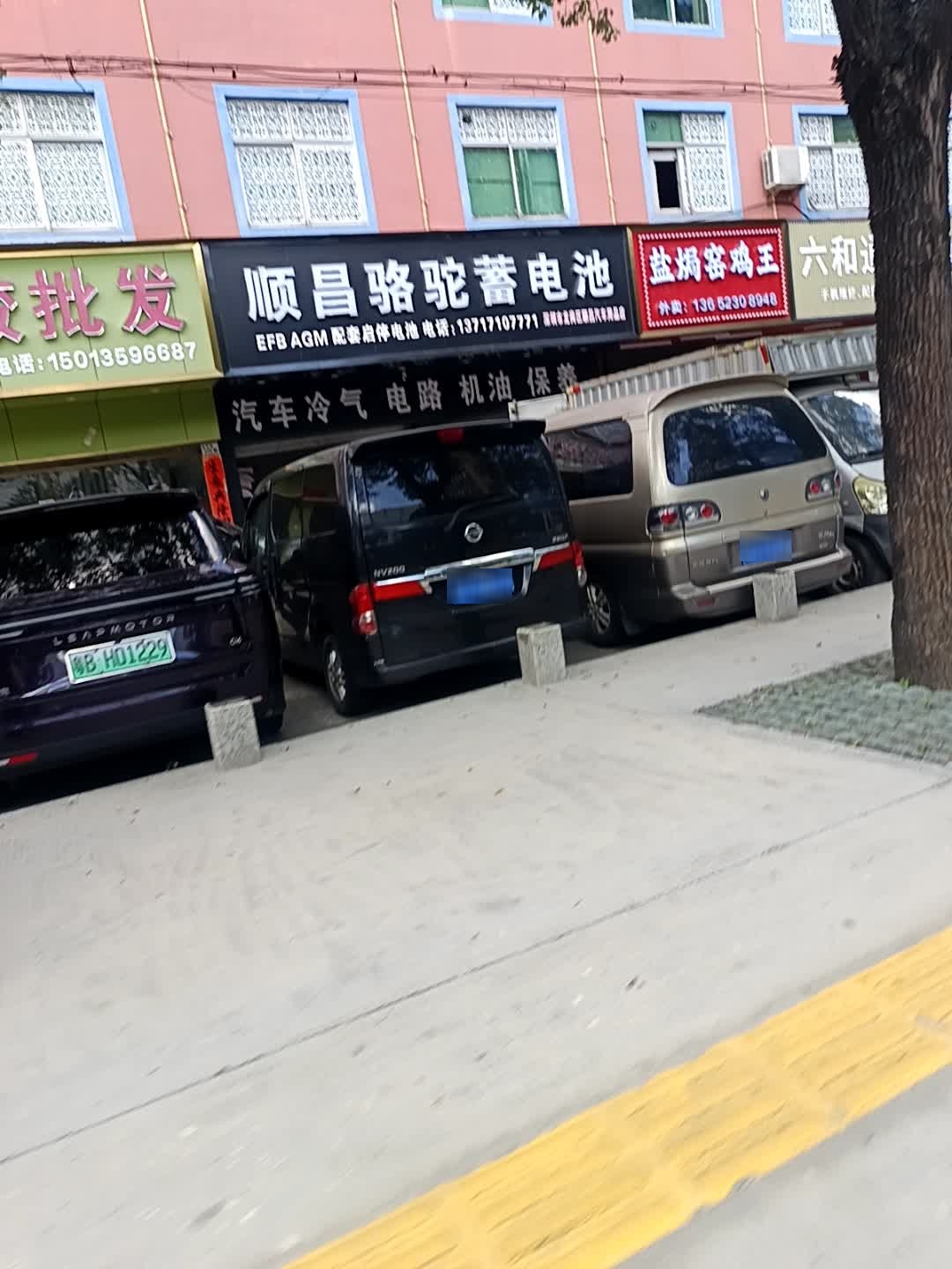 顺昌骆驼蓄电池