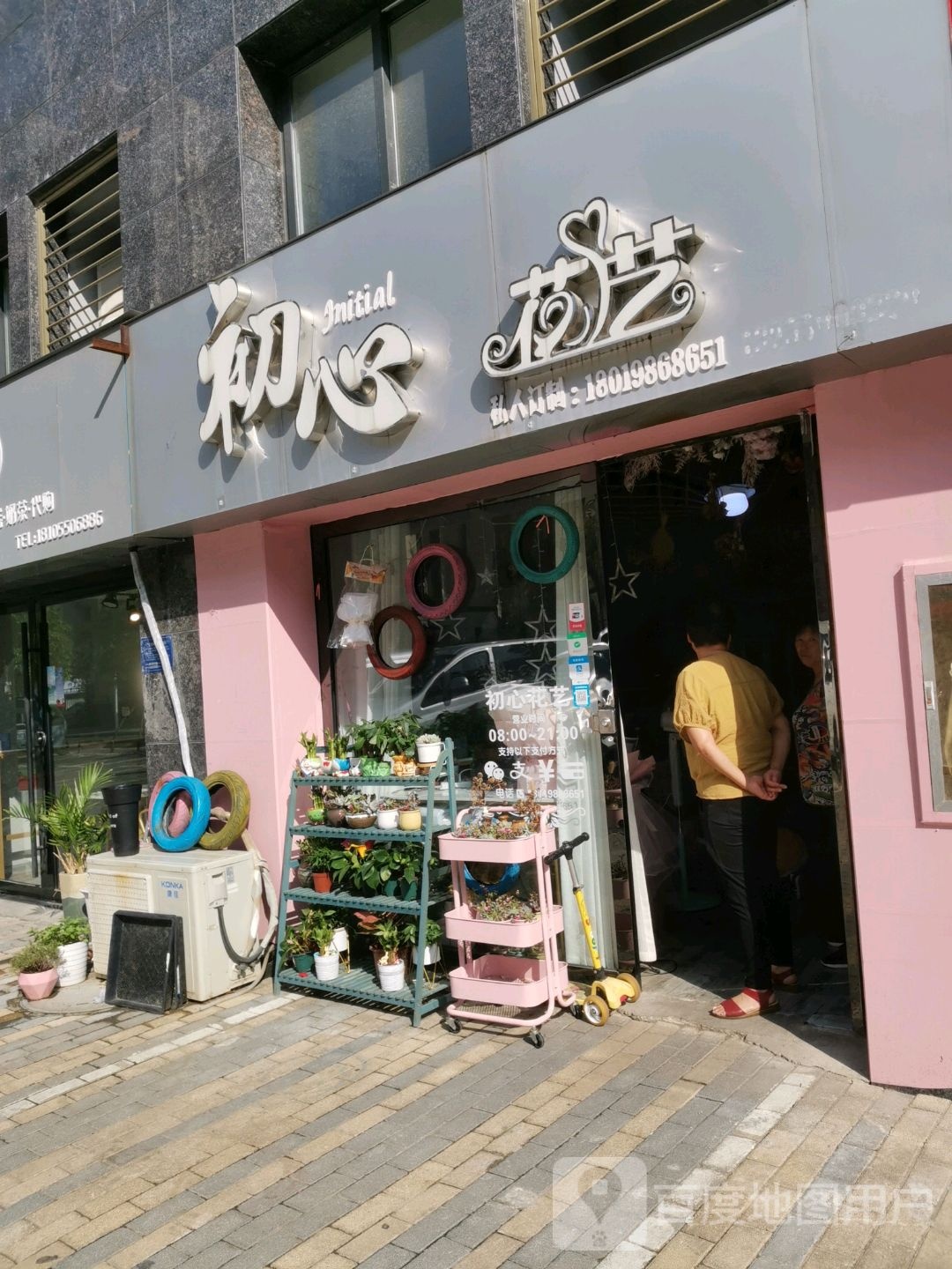 初心花一