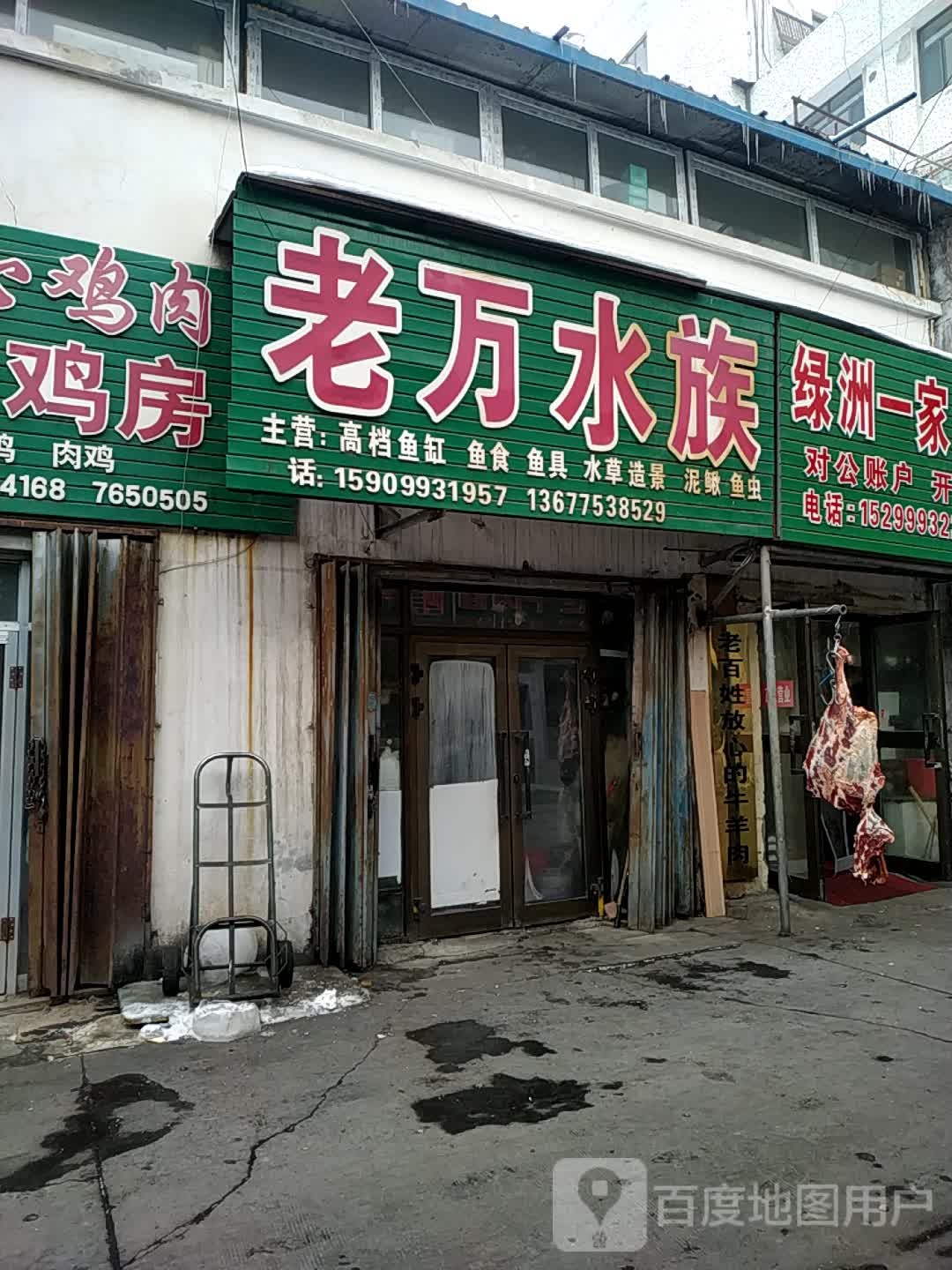 新老水族