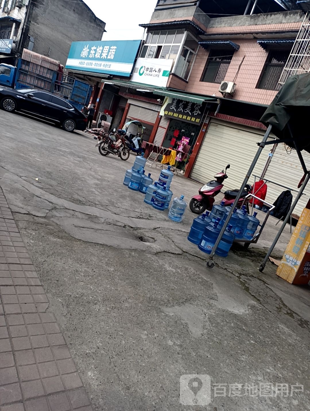 四川寻问东坡果蔬