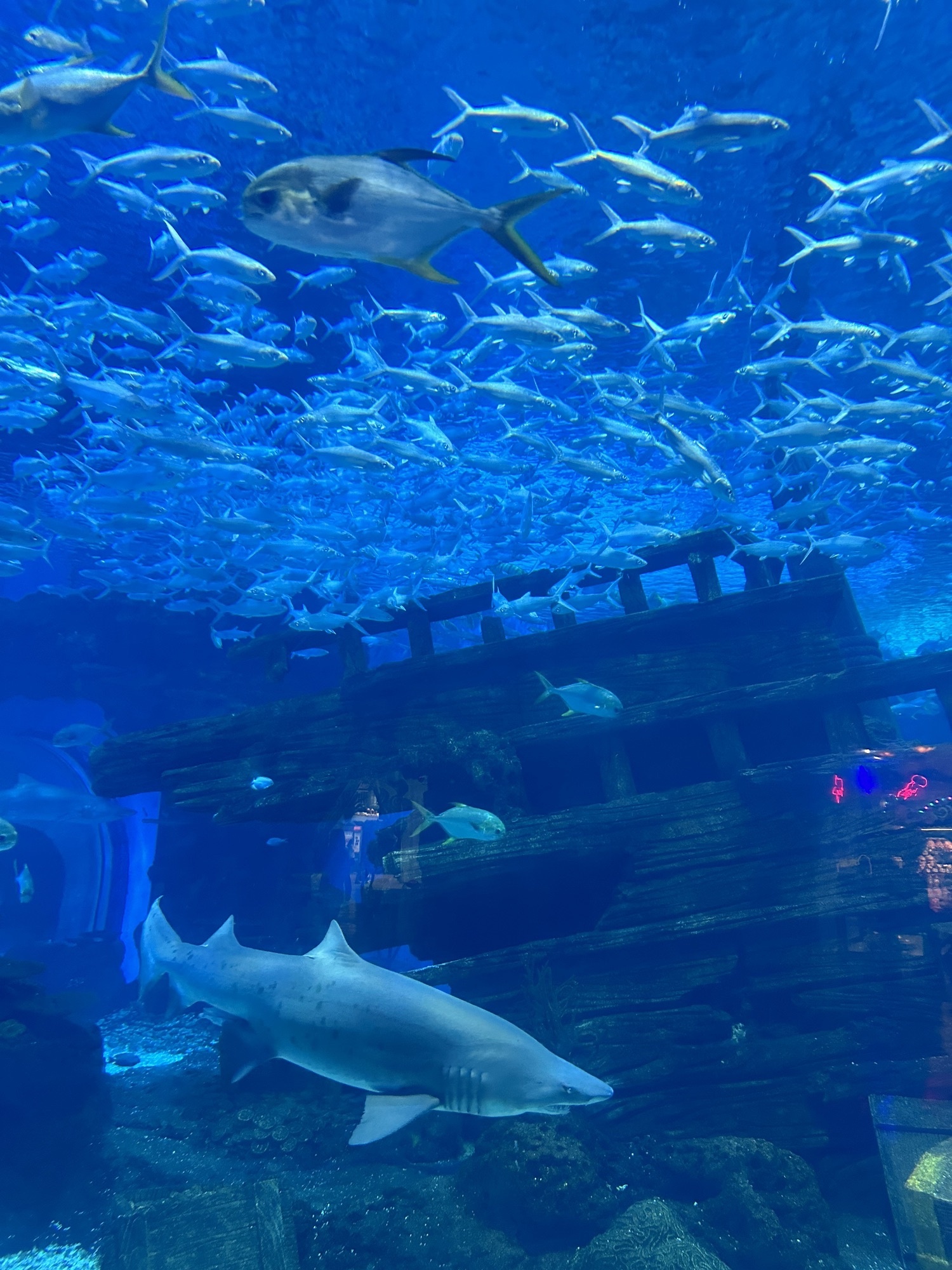 重庆融创雪世界(融创茂店)