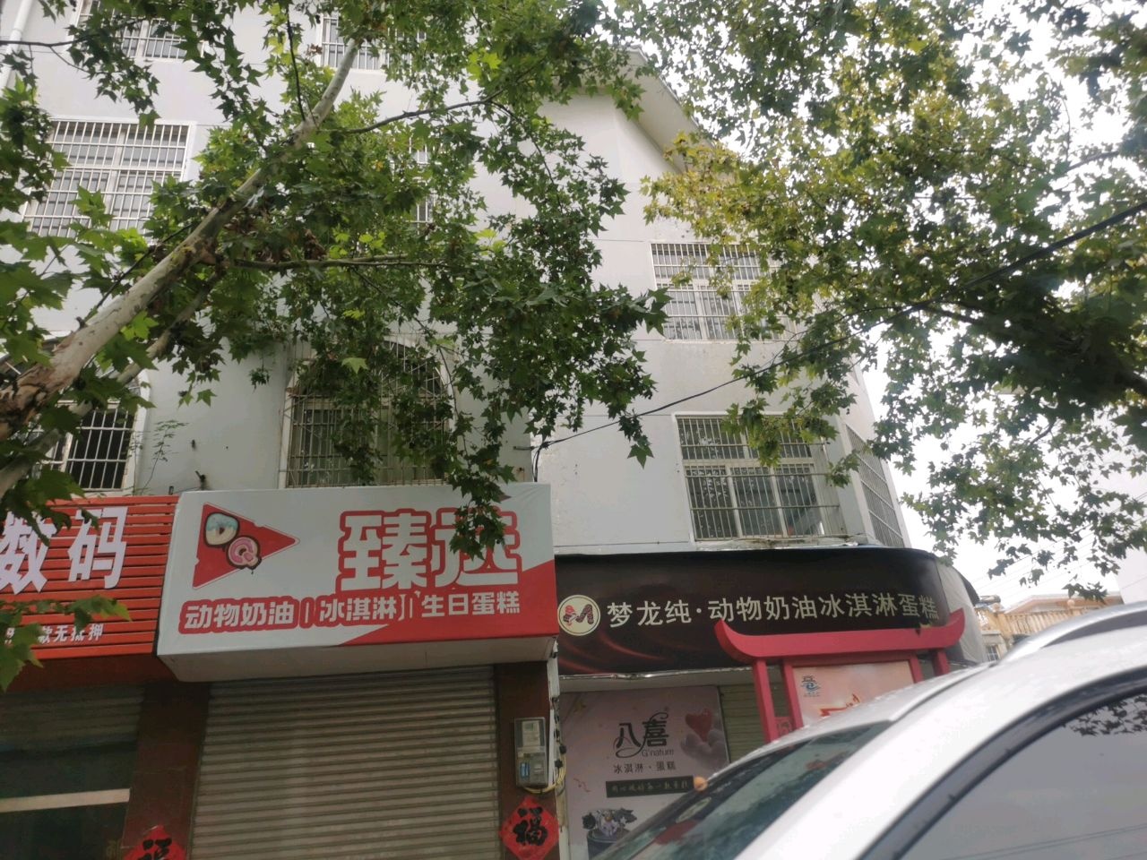 梦龙纯·动物奶油冰淇淋蛋糕(公园西路店)
