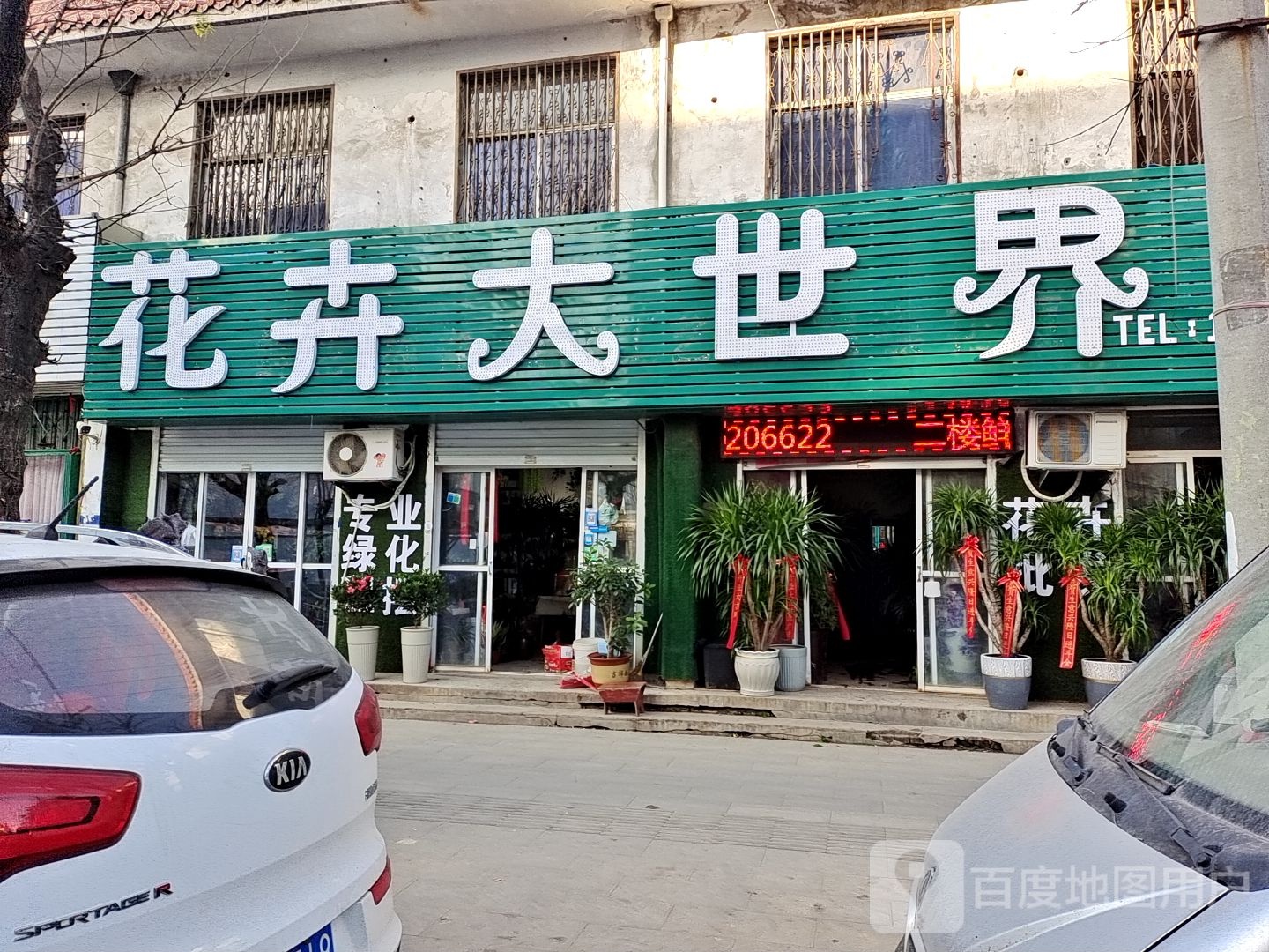 花卉大世界(永明路店)