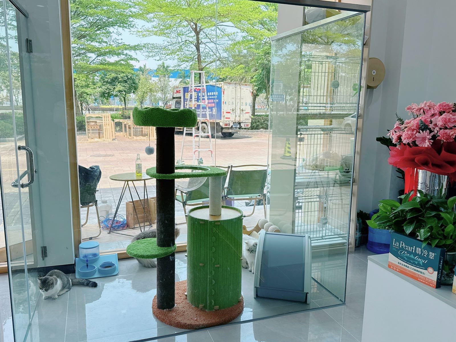 新宠汇宠物生活馆