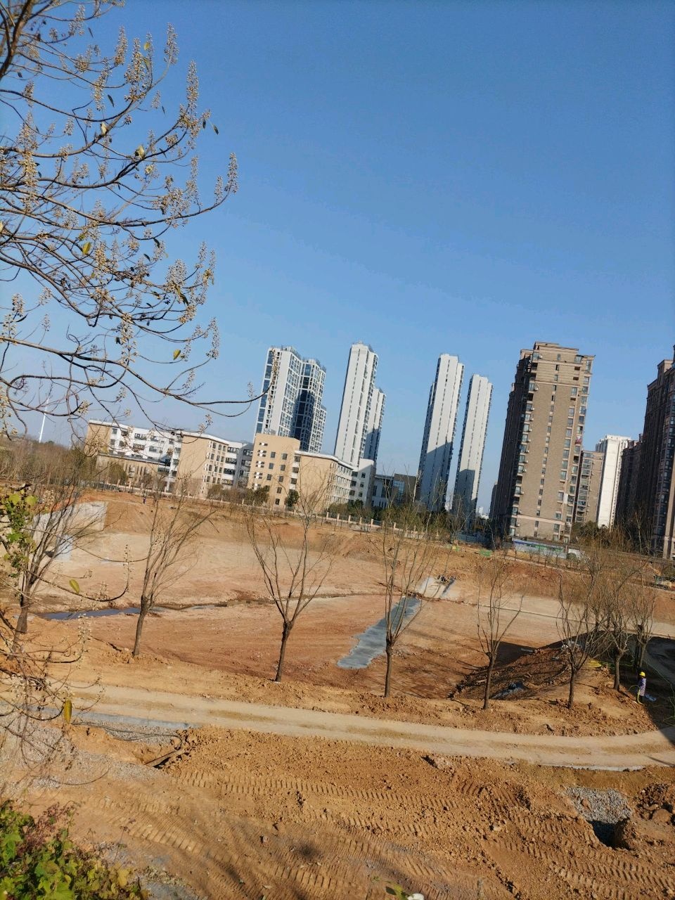 陈埠港湿地小游园