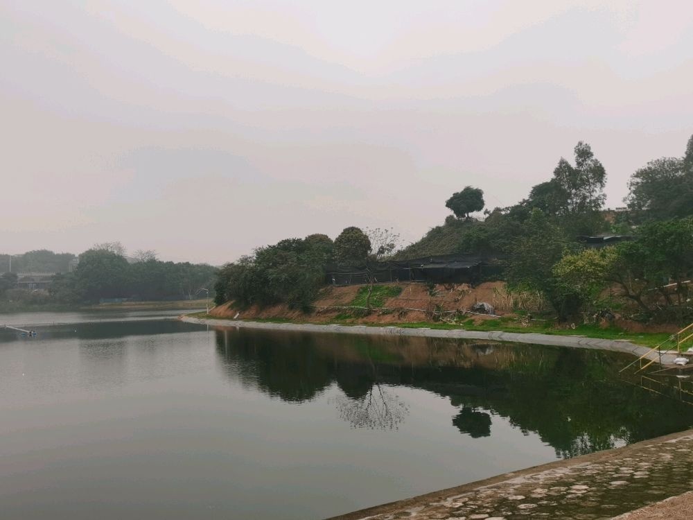 梦想钓场