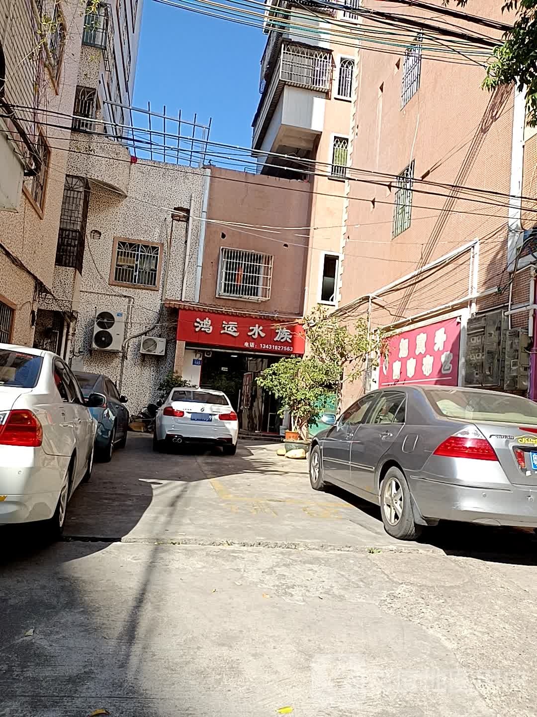 鸿运水族