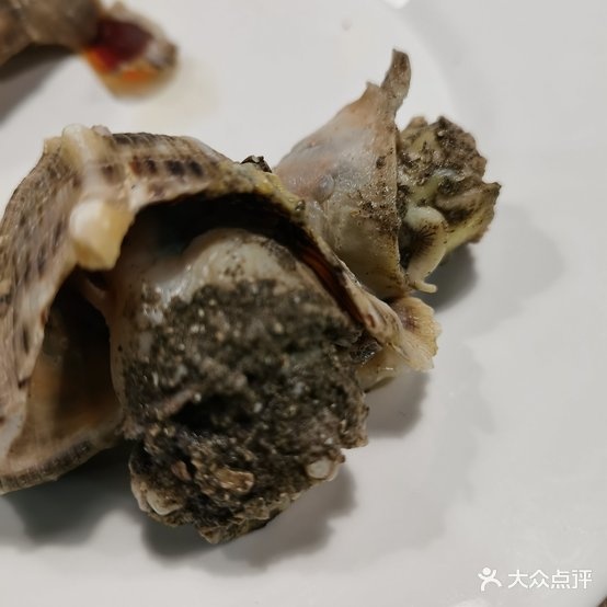 御将军海洋自助(新都广场店)