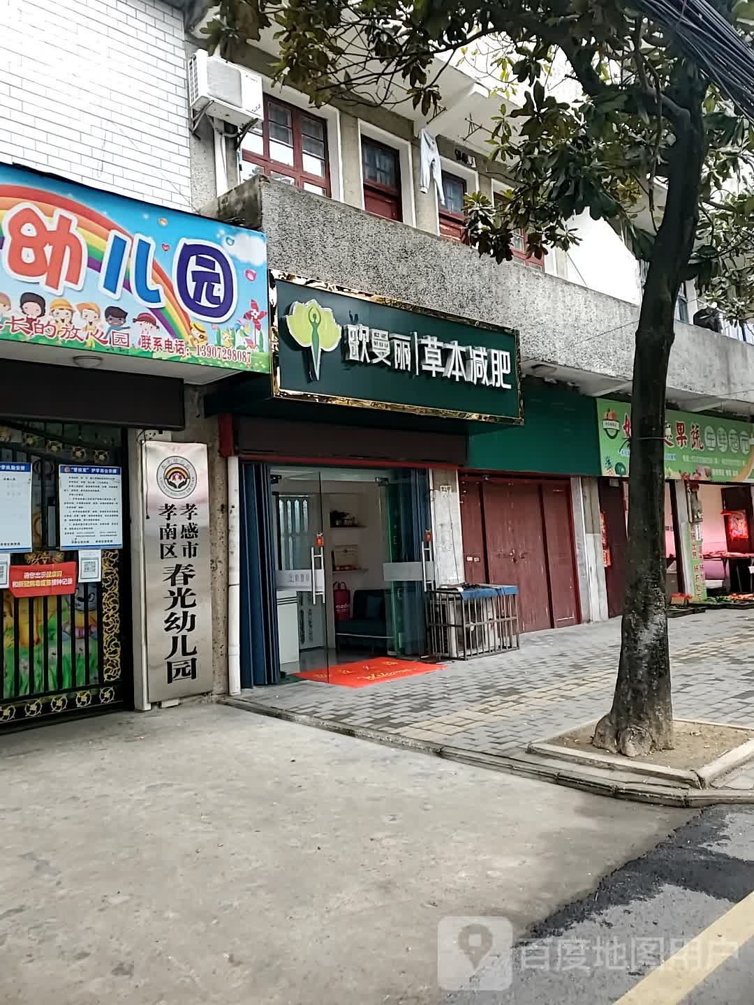 歌曼丽草本减(车站店)