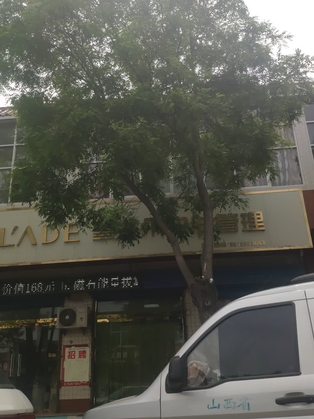 雪兰朵皮肤管理