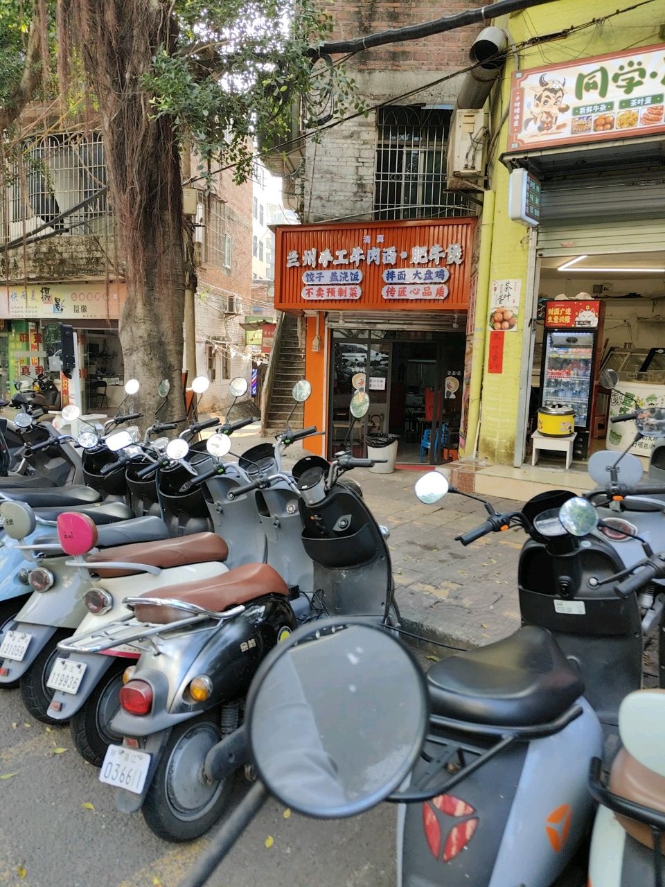 清真兰州手工牛肉面·肥牛煲