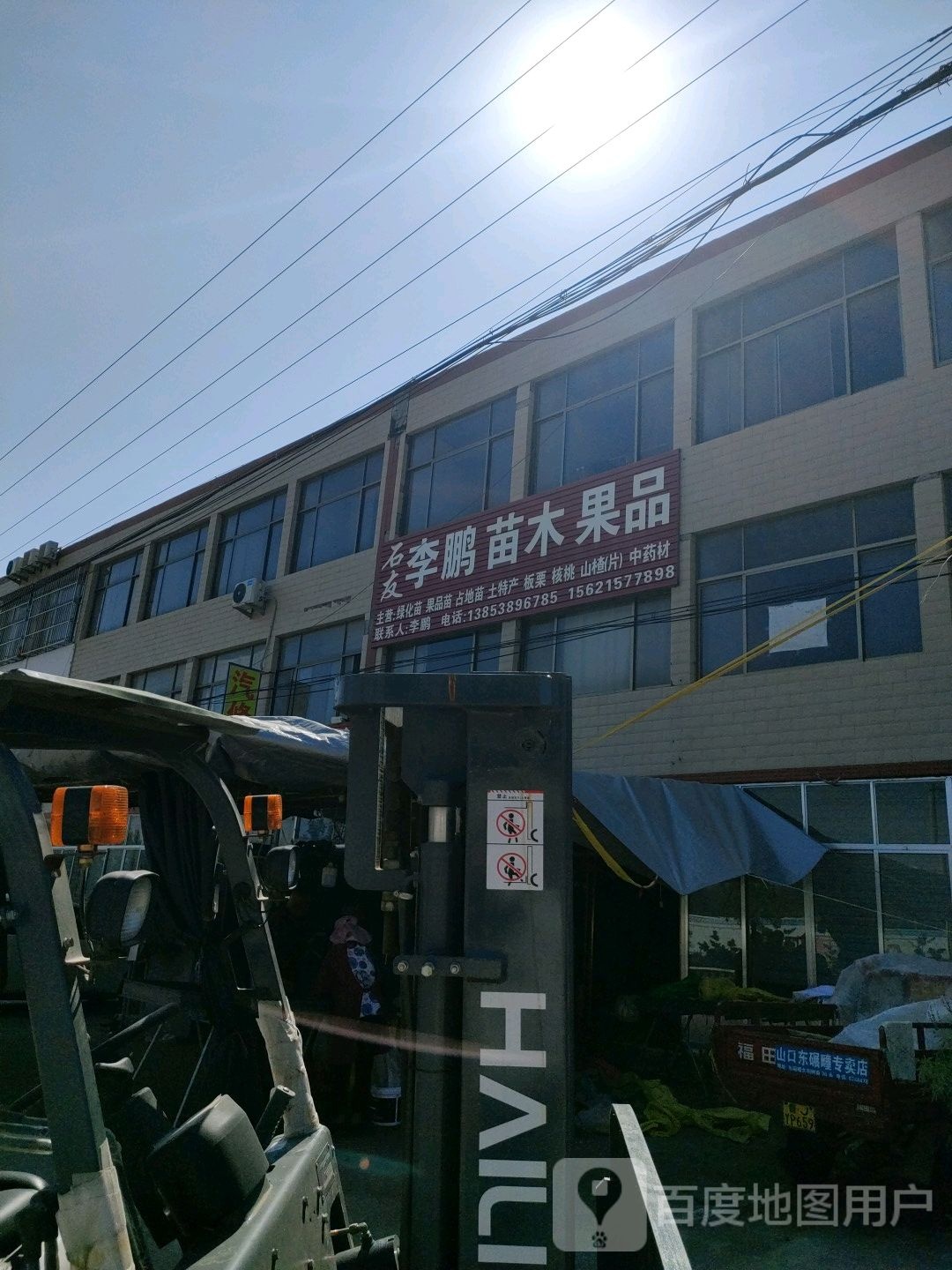 李鹏苗木果品