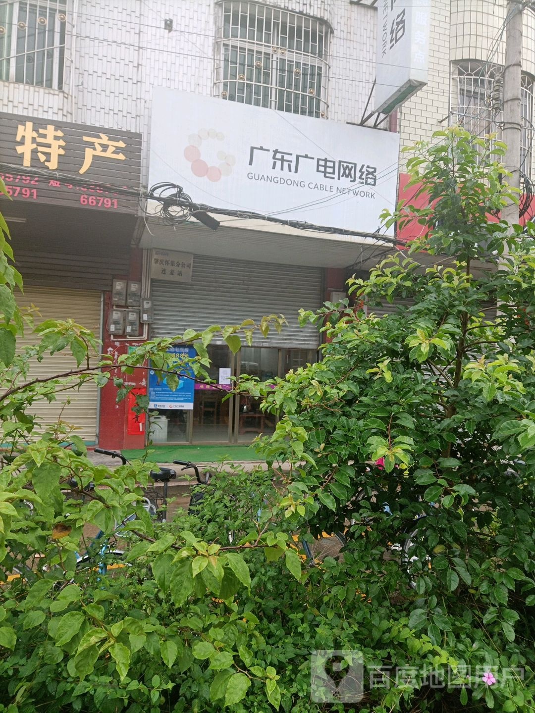 广东广点网络(G234店)