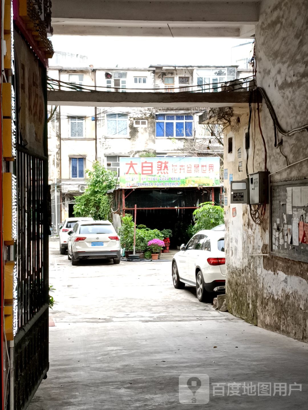 大自然花店(东门街店)