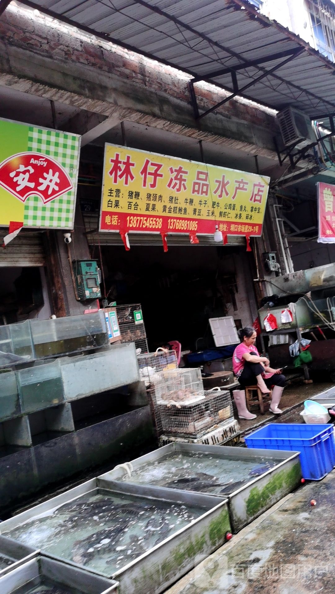林仔冻品水产店