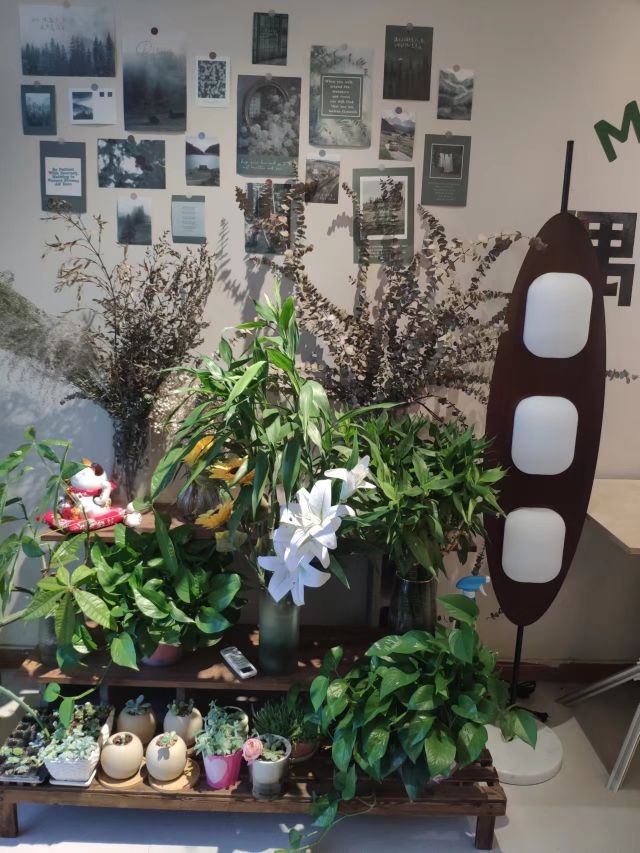 槁不刮时定花园商店