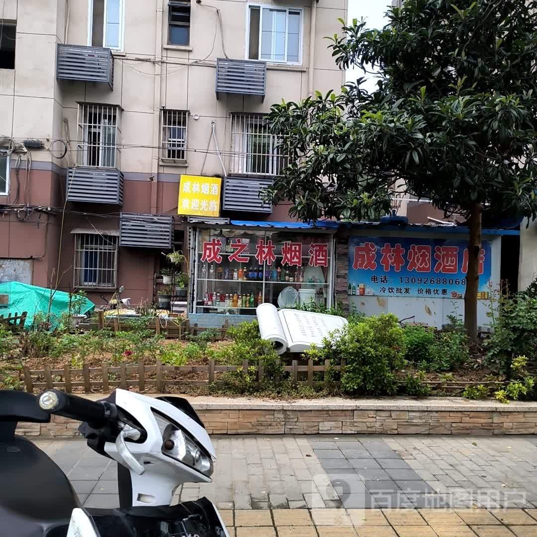 成林烟酒