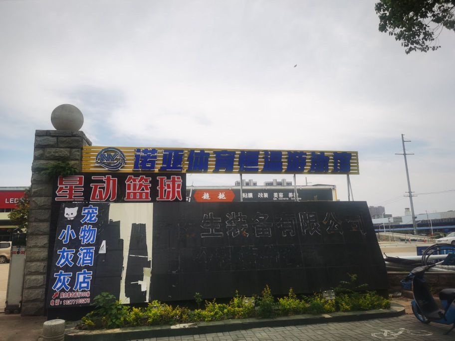 星动篮球