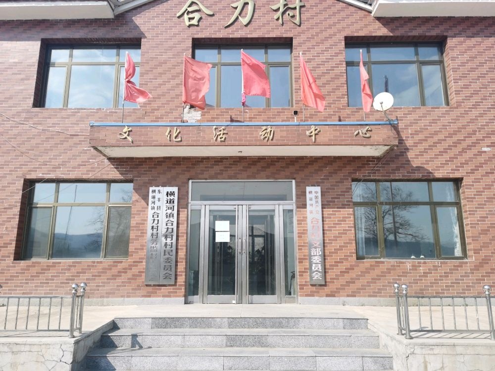 吉林省辽源市东丰县横道河镇合力村退役军人服务站