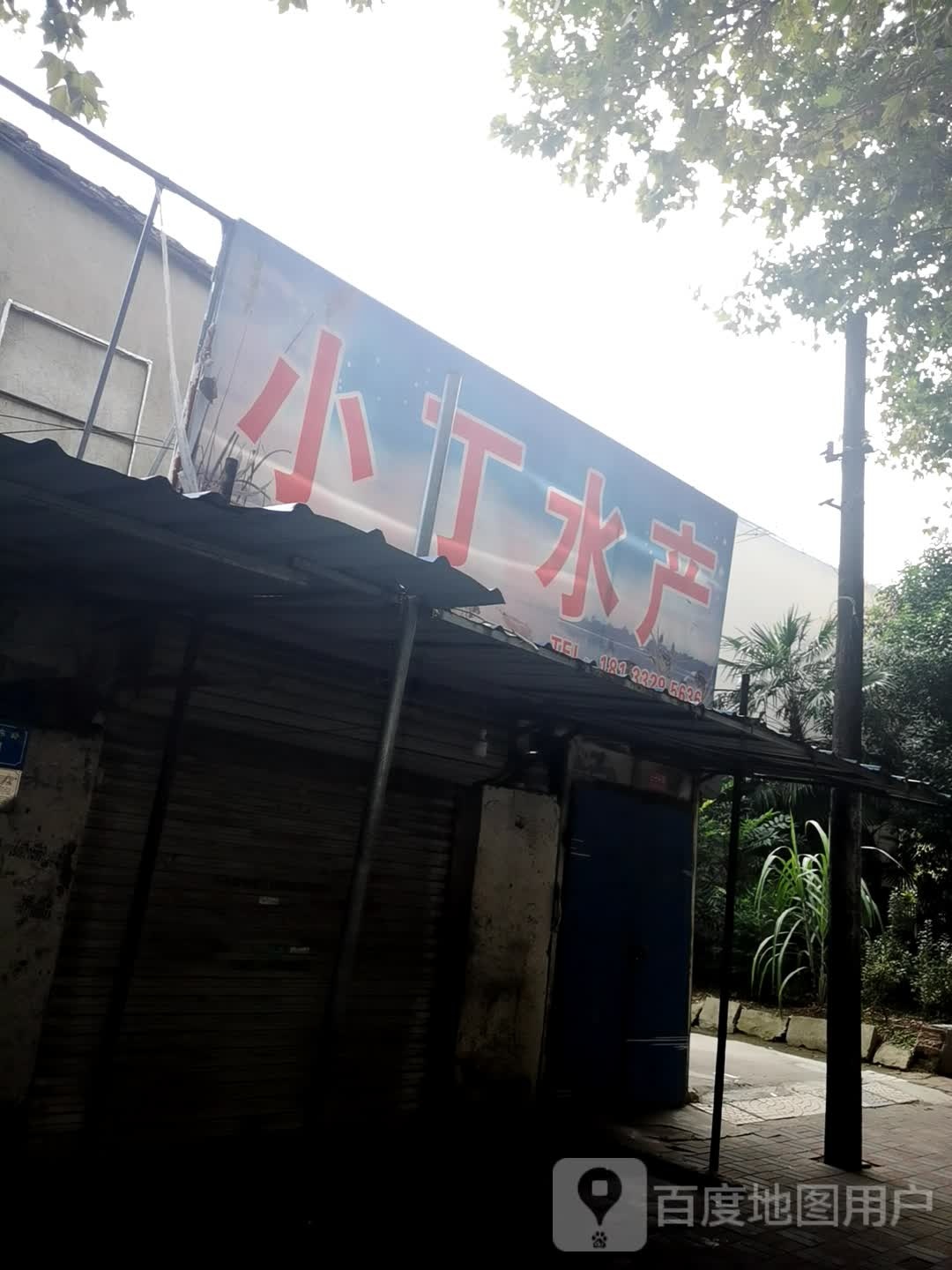 肖顶水产(浍水东路店)