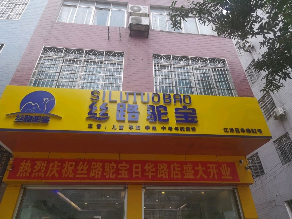 江岸日华路62号(丝路驼宝店)