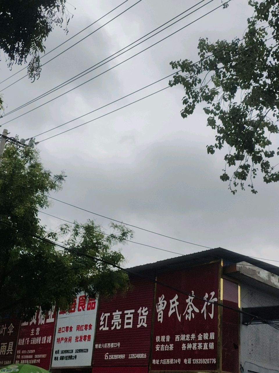 曾氏茶行