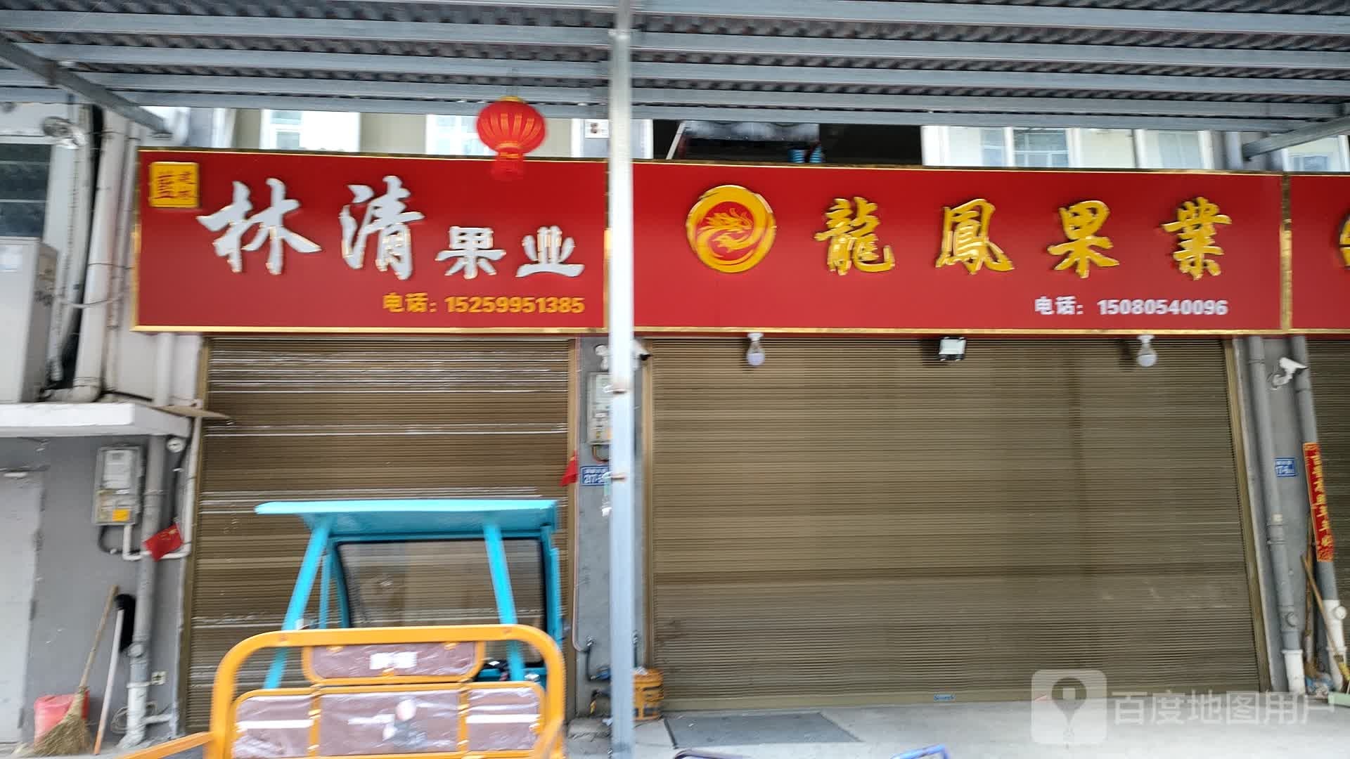 龙凤果业