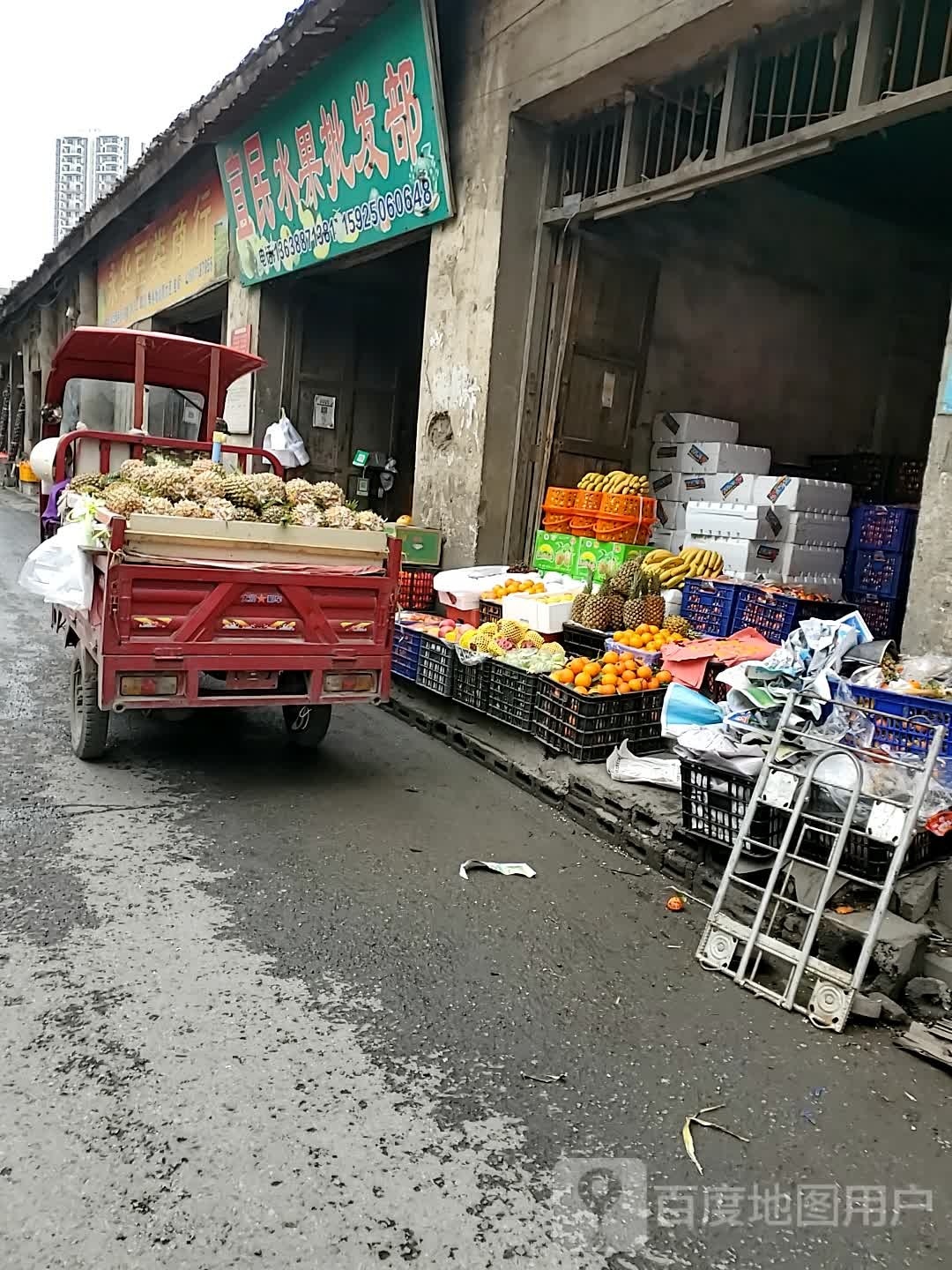 水果批发(环城东路店)