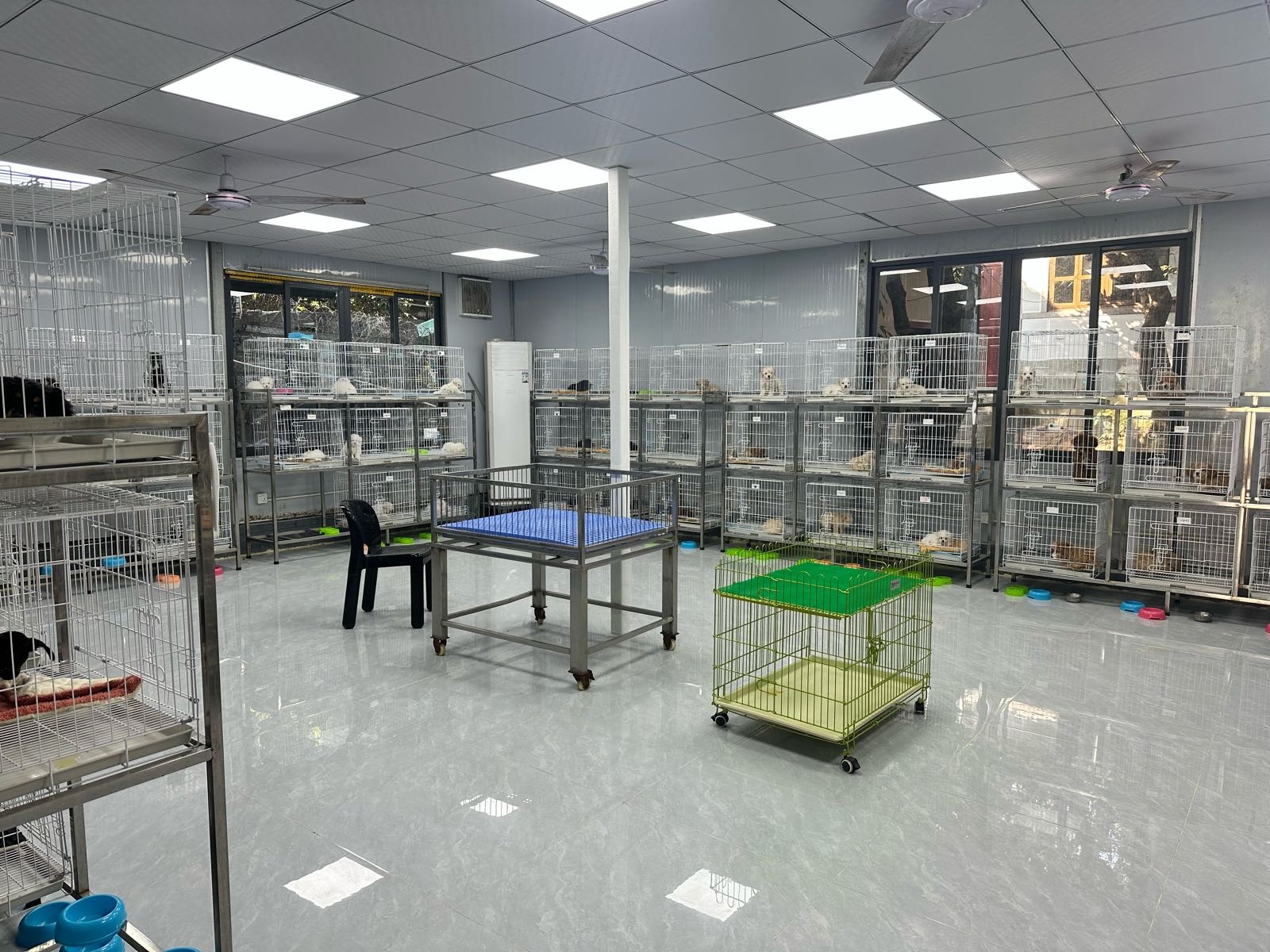 宝诚宠物狗场犬舍猫舍