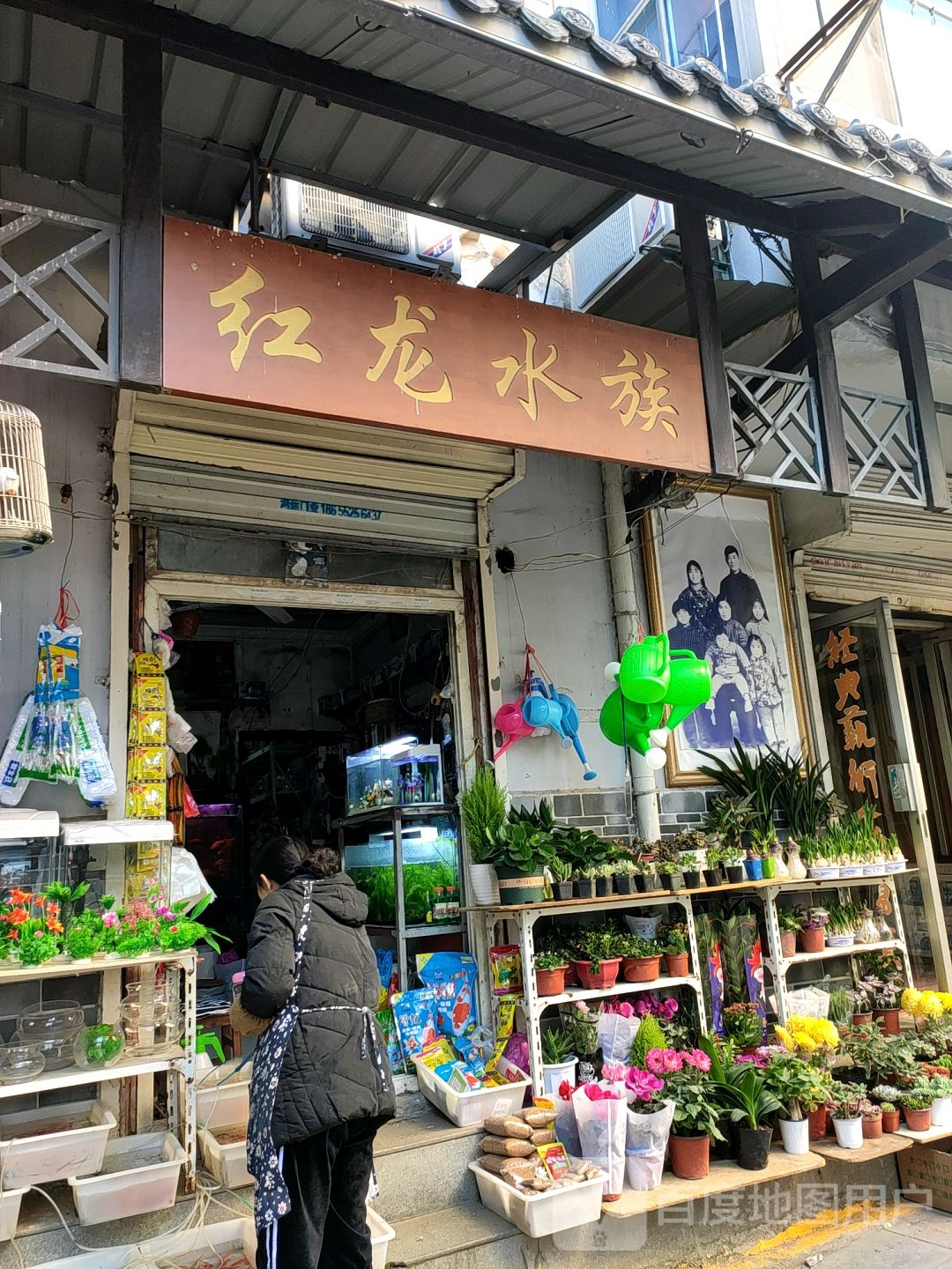 红龙水景