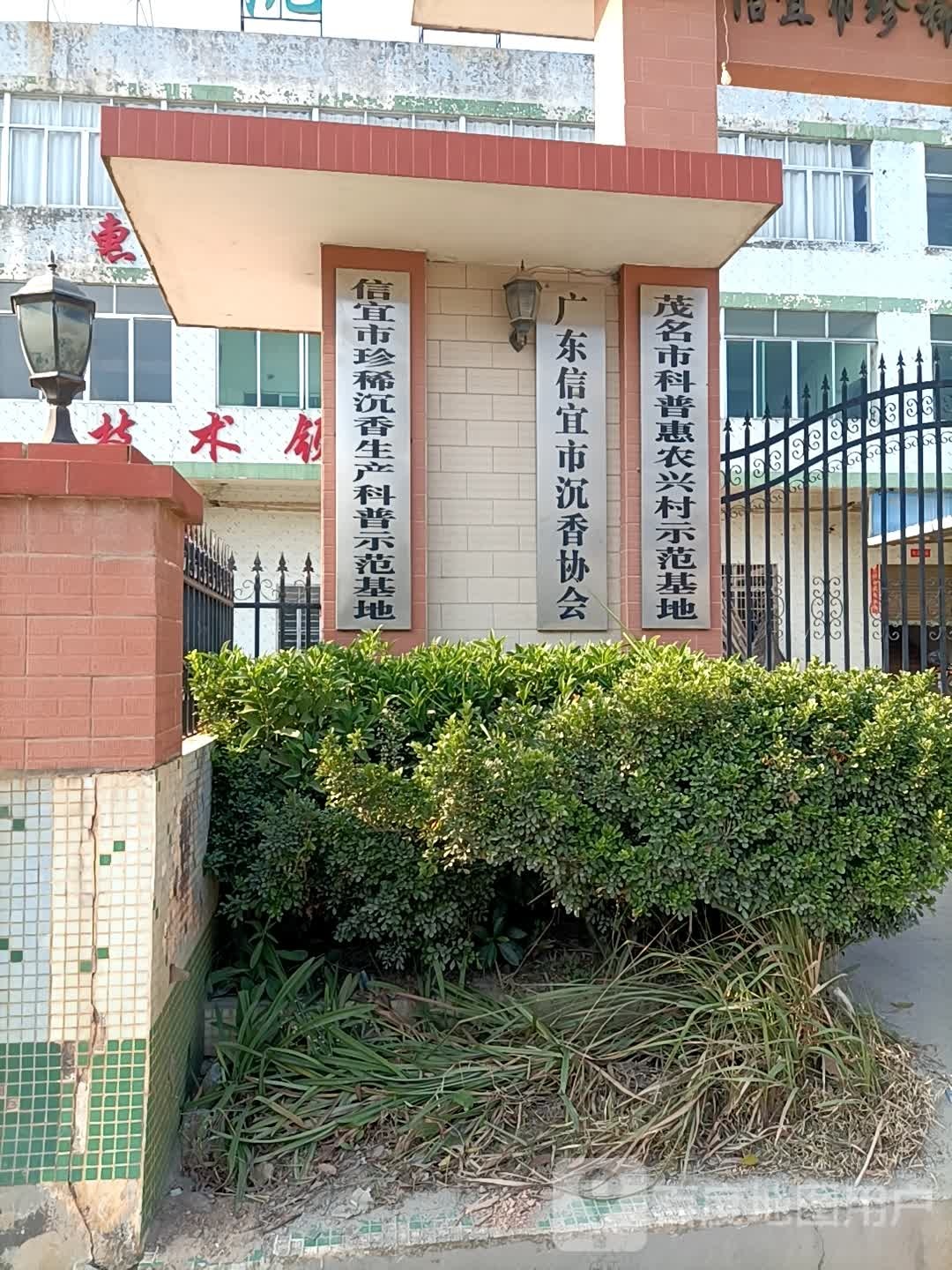 广东信宜市沉香协会