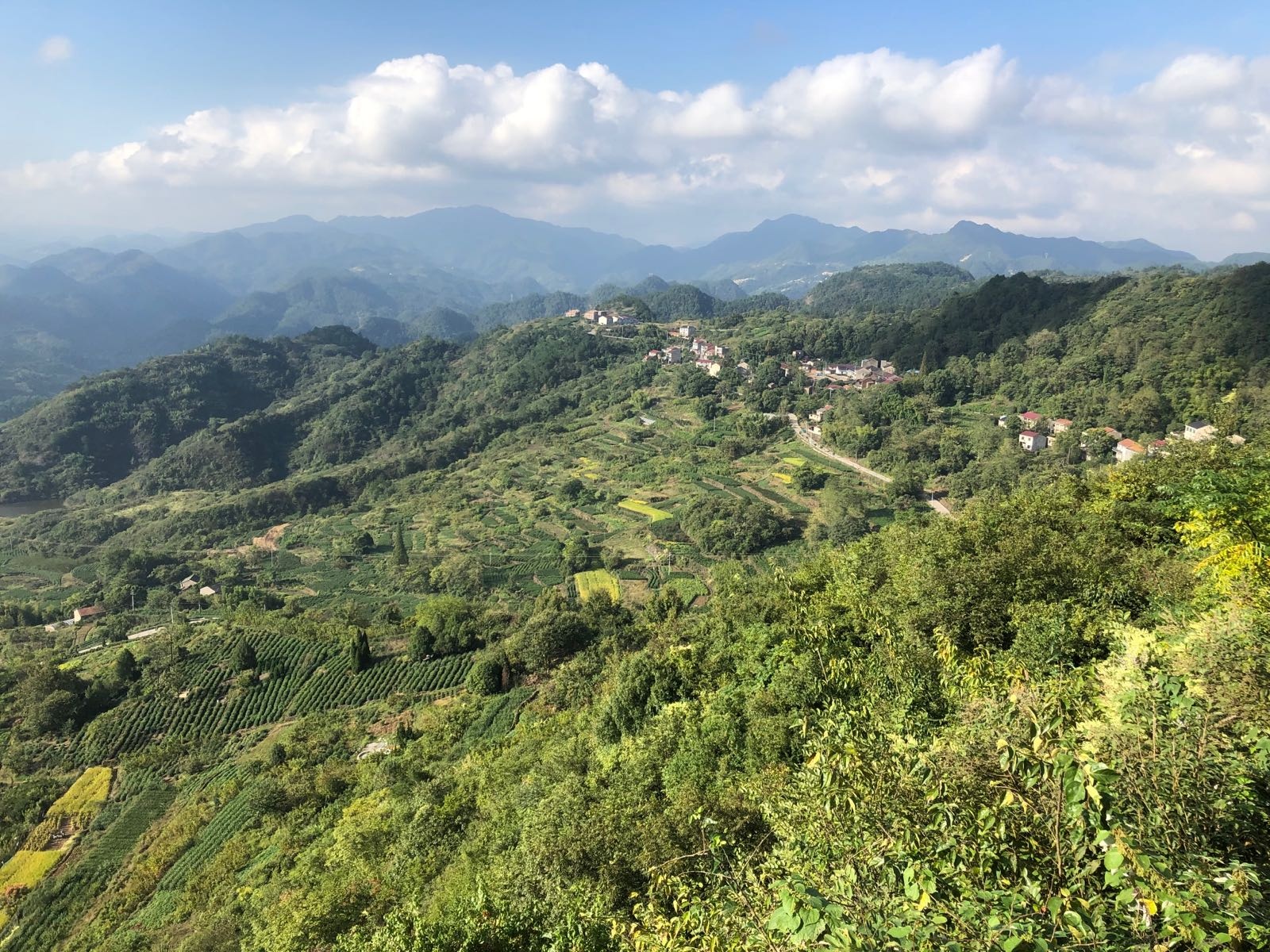 遁山生态园