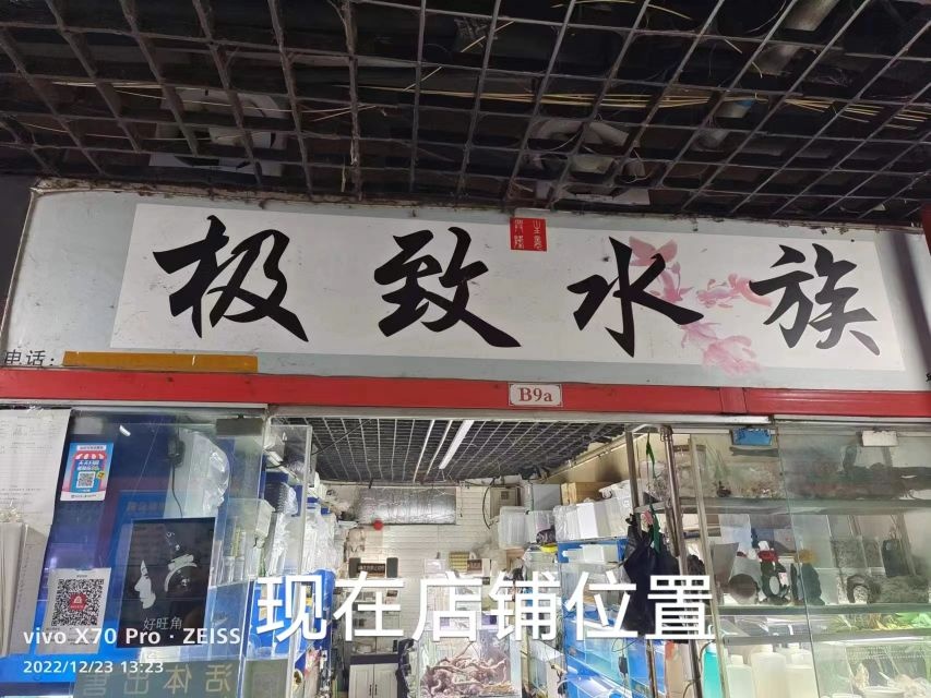 极致水族爬宠世界