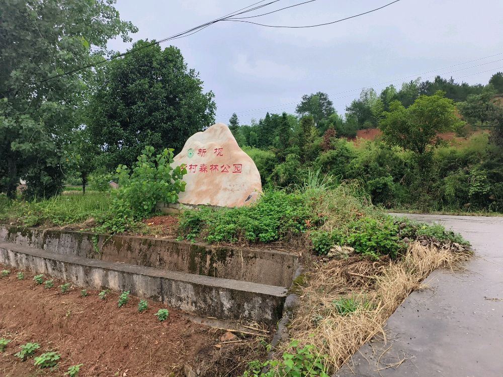 新枧乡村森林公园