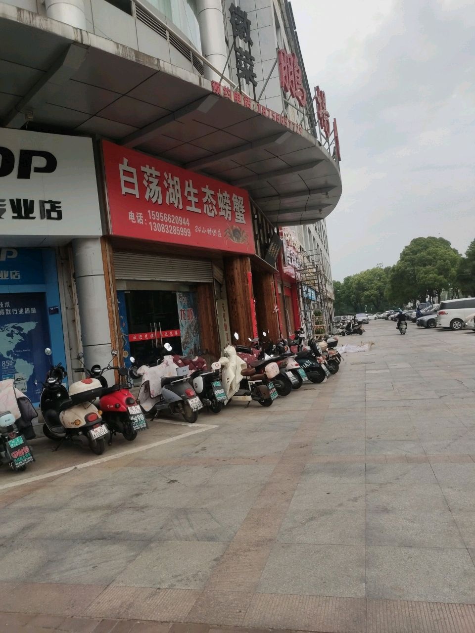 白荡湖生态螃蟹