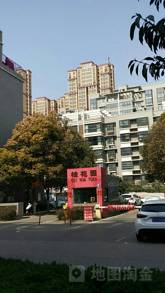 桂花园