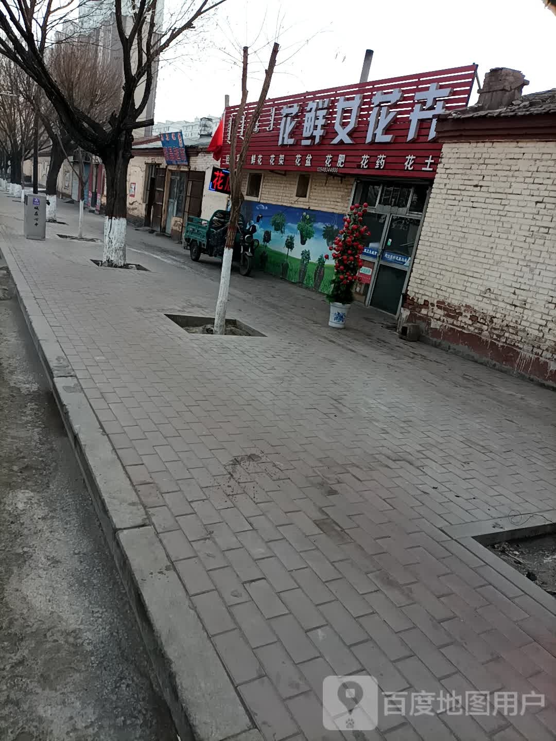 花鲜女花卉