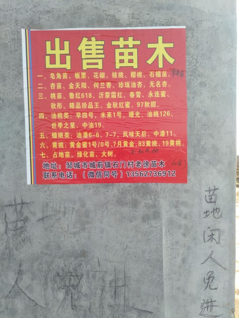 老徐苗圃基地
