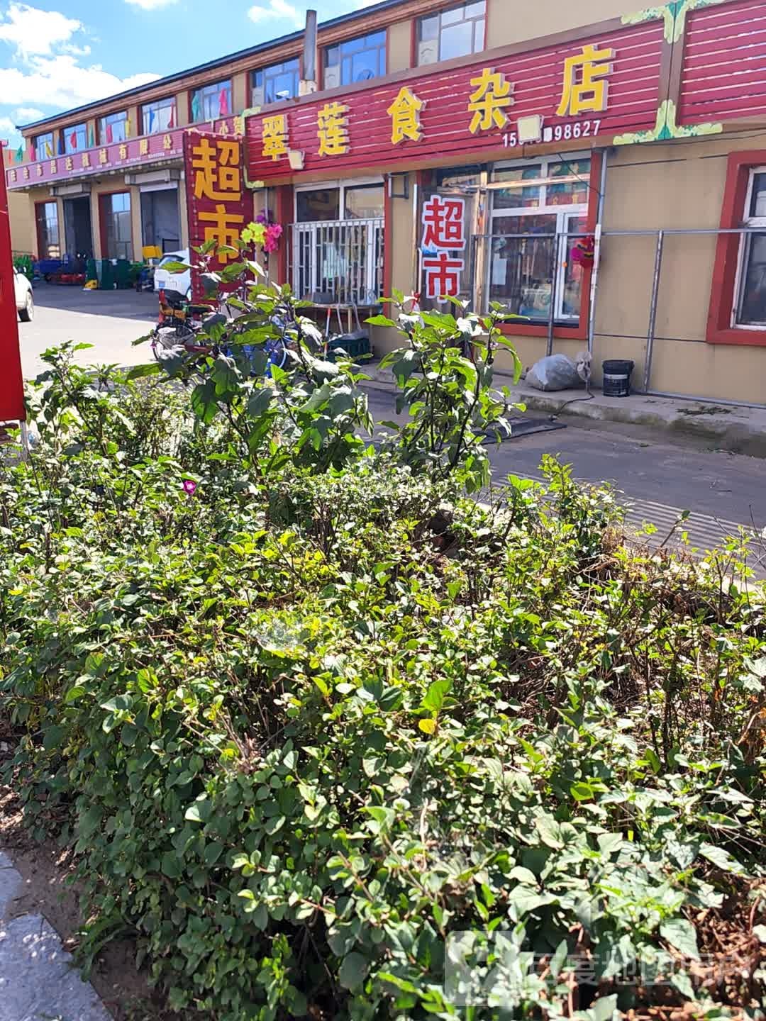 翠莲食杂店