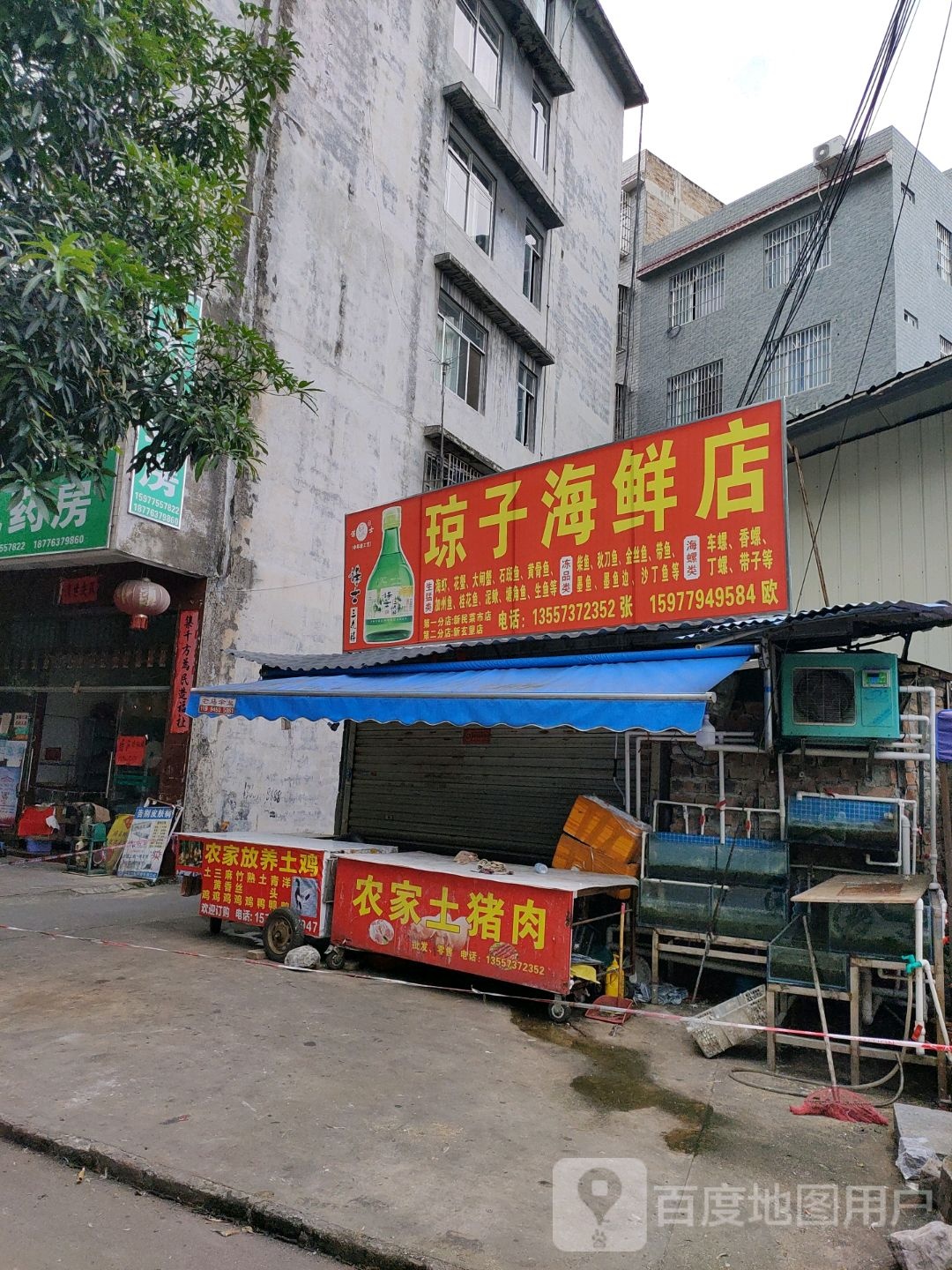 琼子海鲜店
