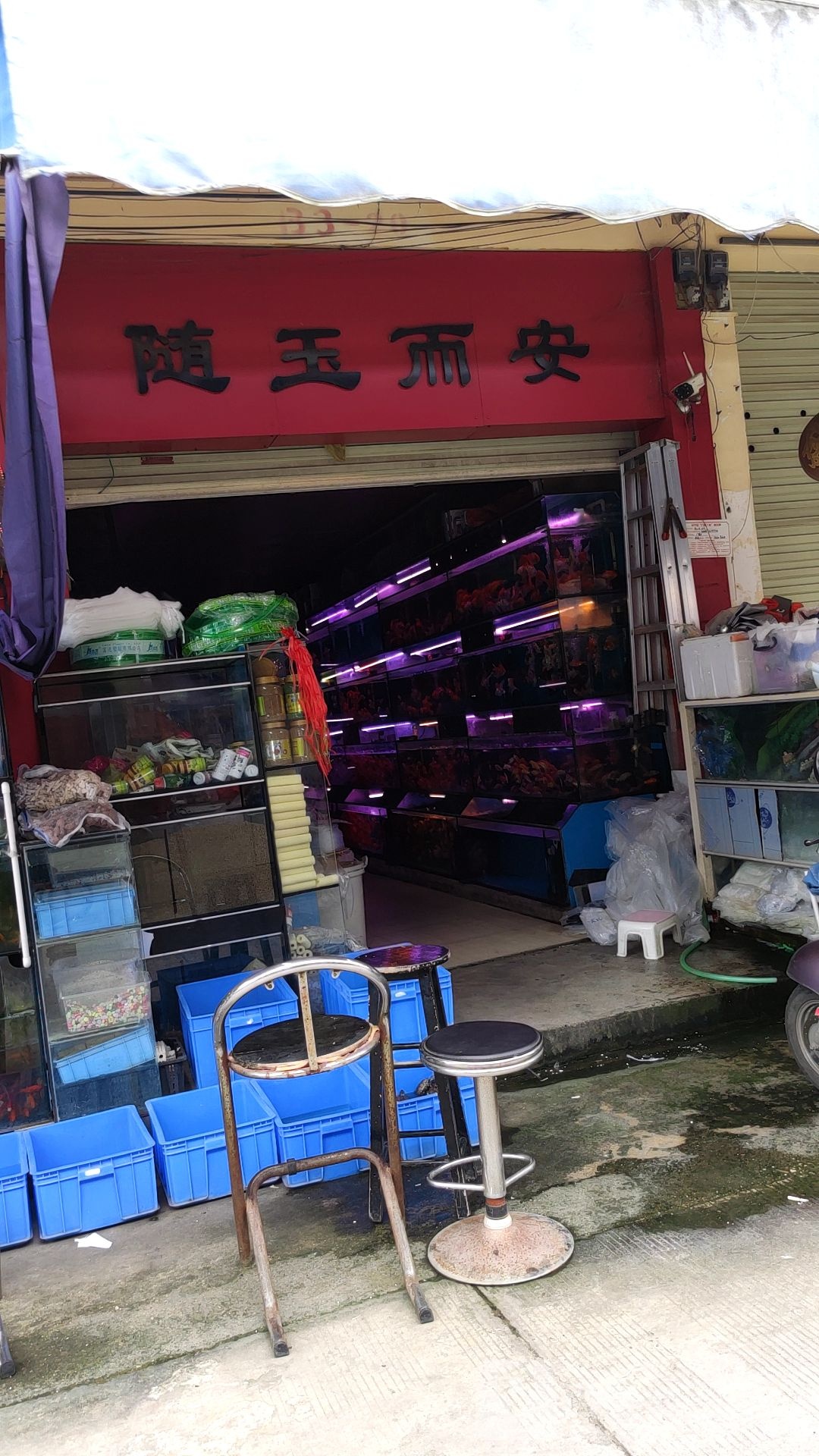 随玉而安