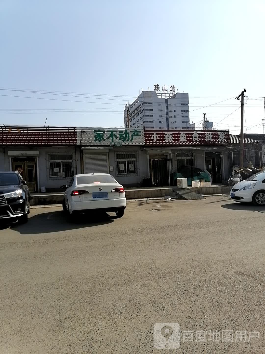小燕鱼食批发