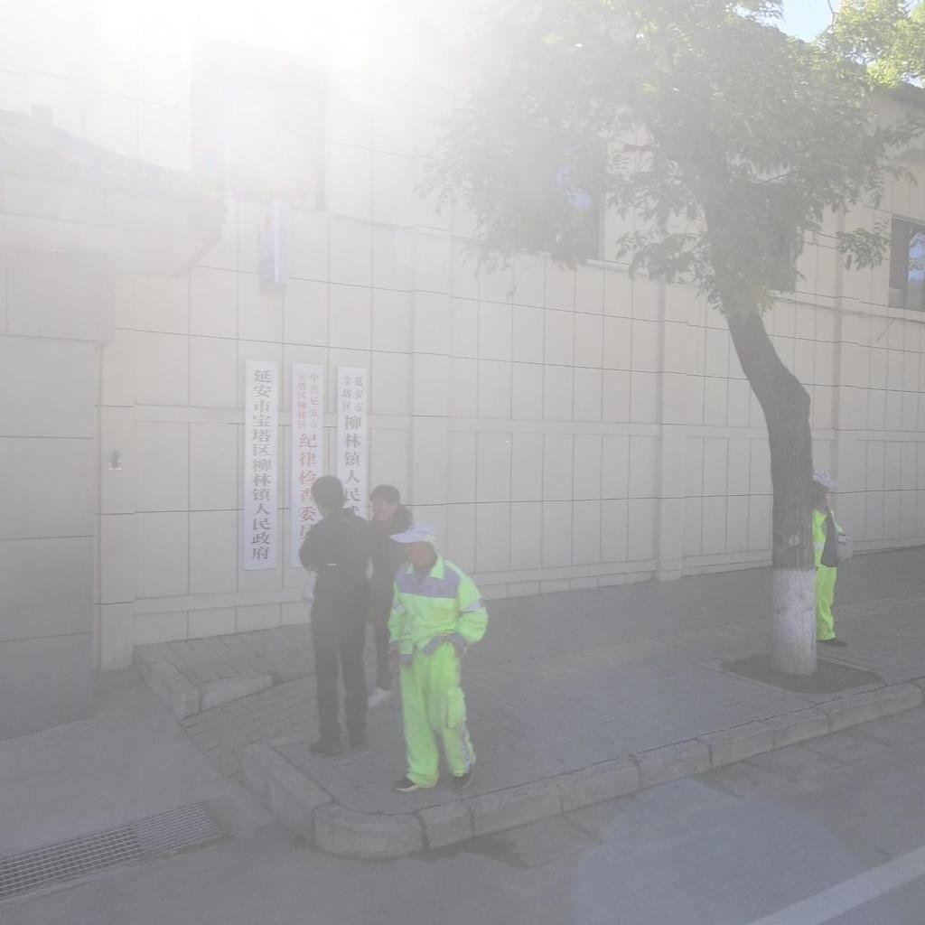 柳林镇人民政府