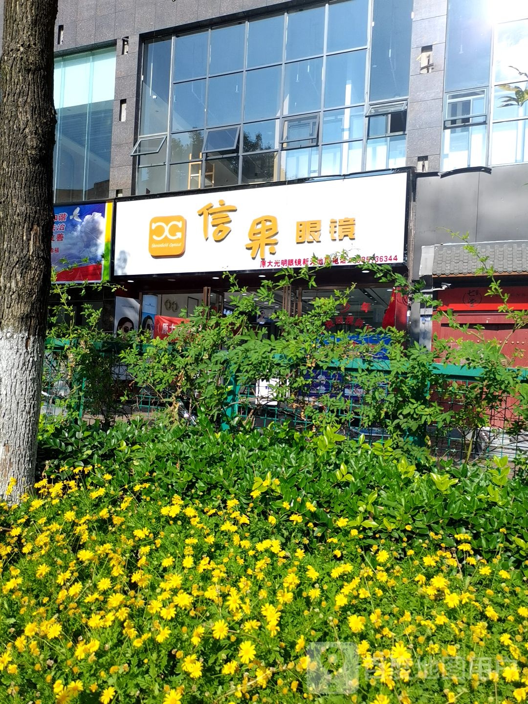 信果眼镜(新天地店)