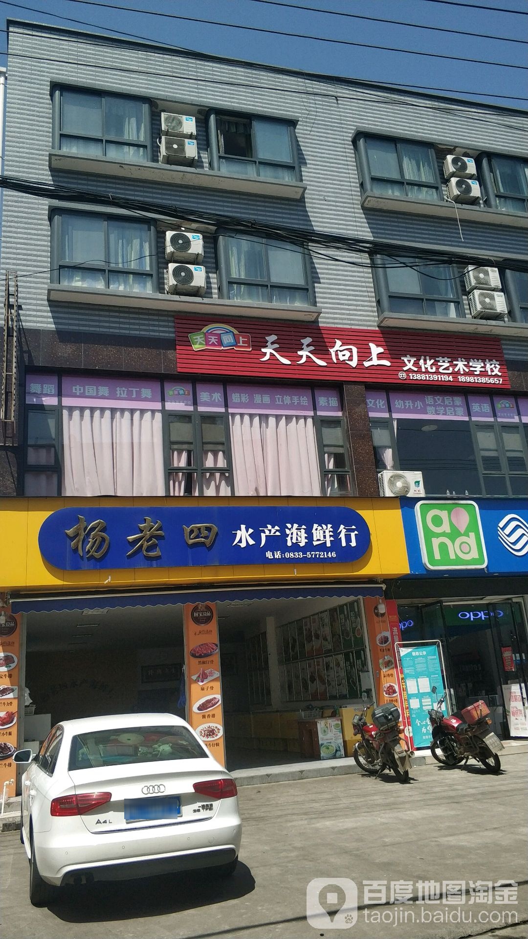 杨老四水产海鲜行