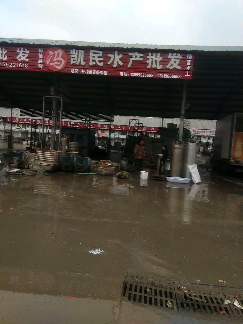 凯民水产批发