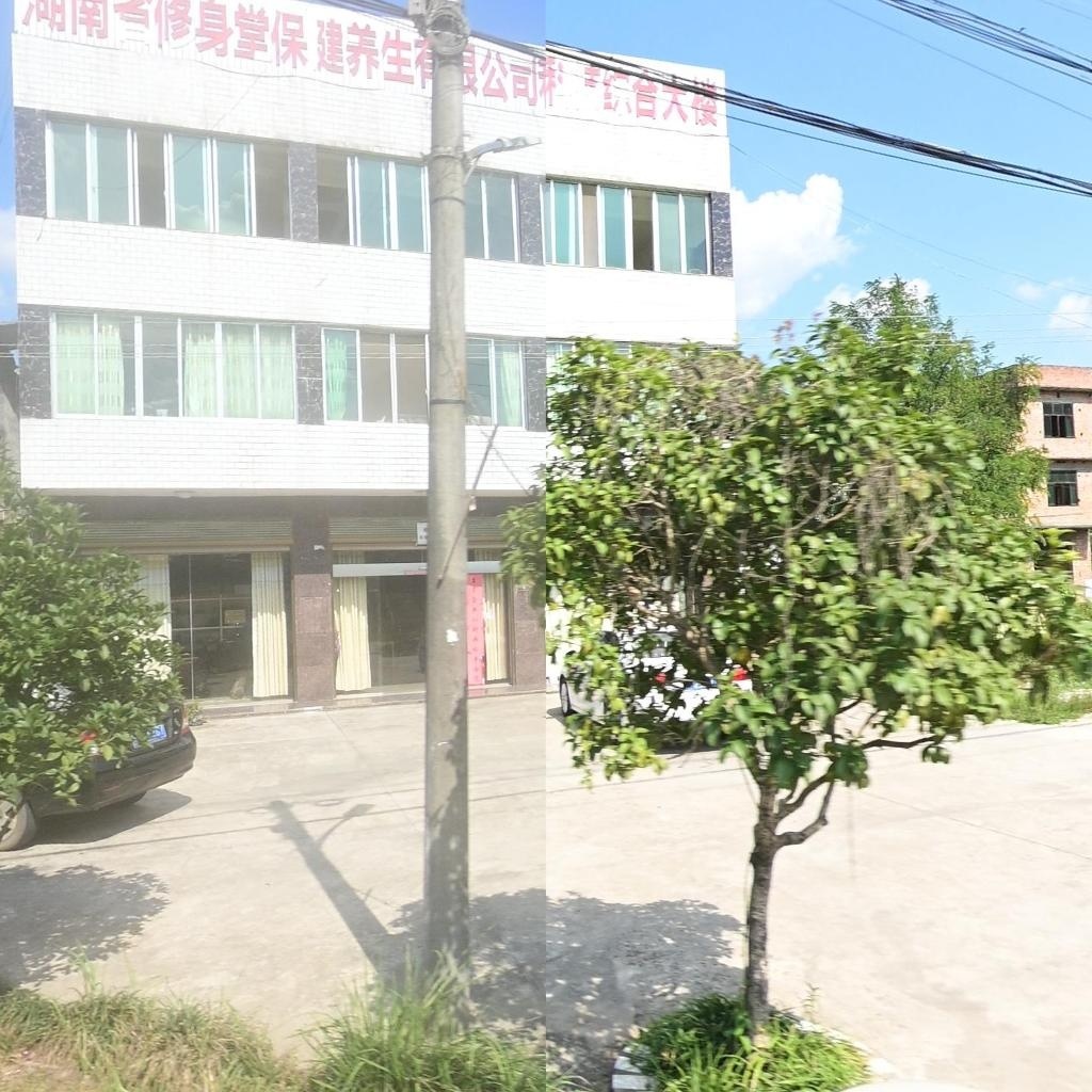 湖南省修身堂保健养生有限公司