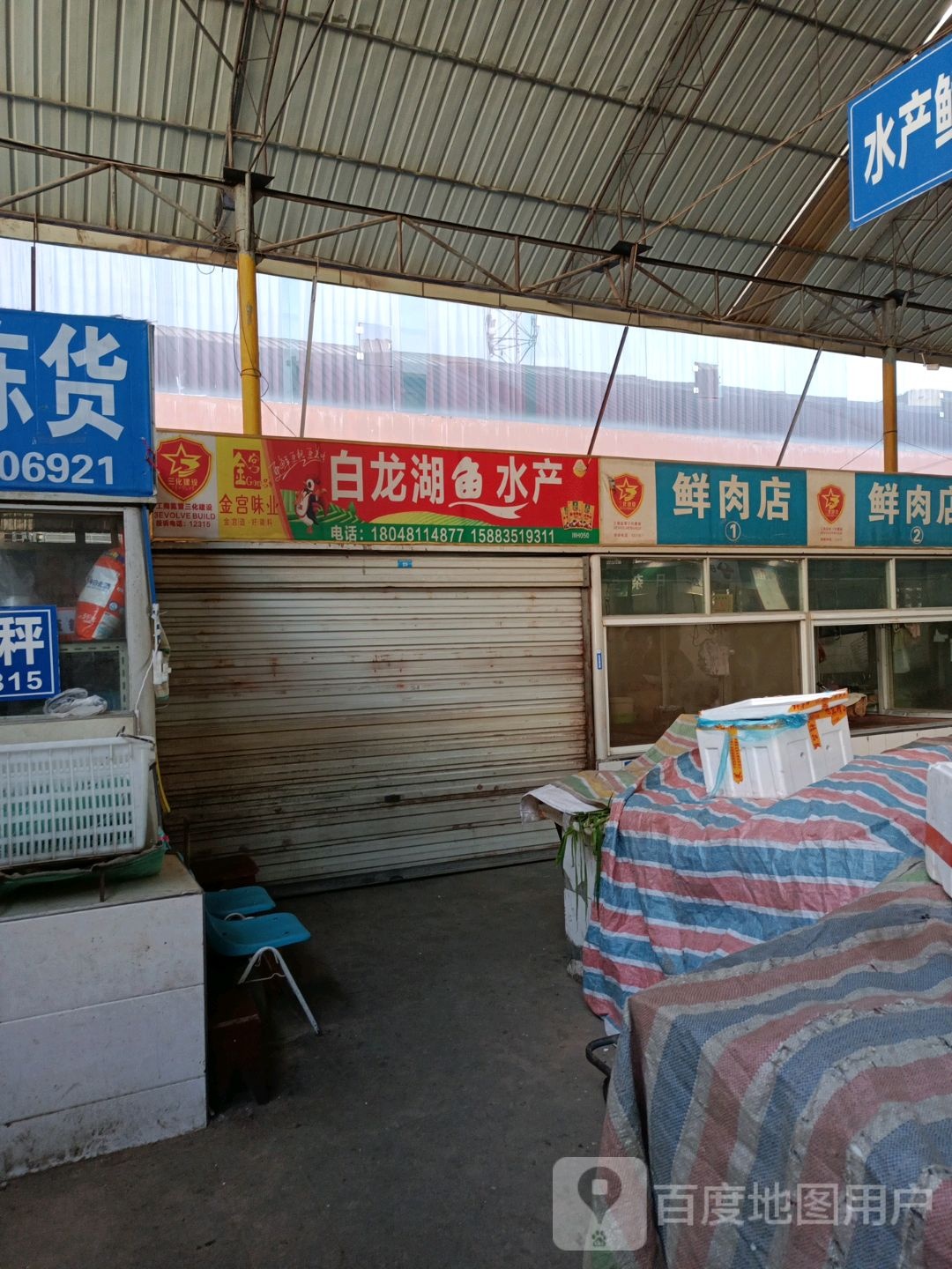 白龙湖鱼水产