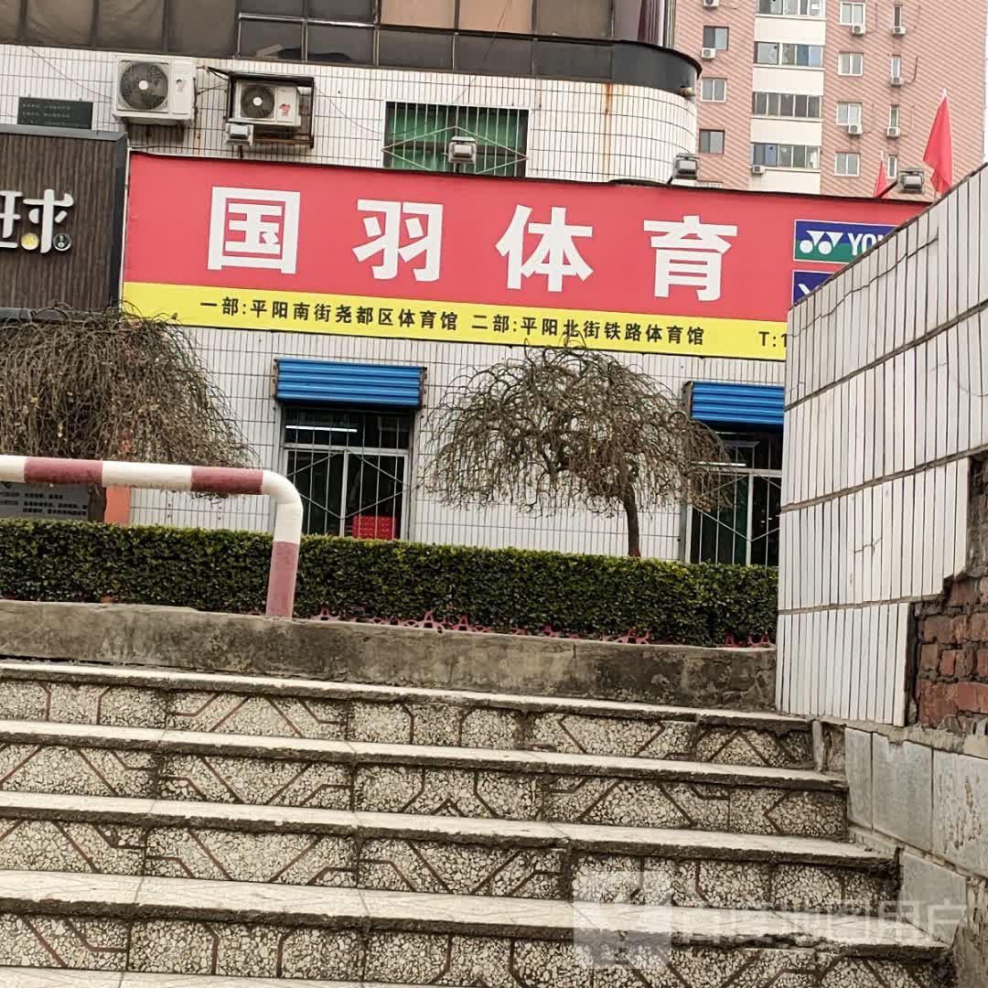 国羽体育